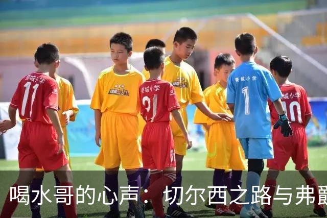 喝水哥的心声：切尔西之路与弗爵的合同怪事